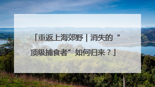 重返上海郊野｜消失的“顶级捕食者”如何归来？