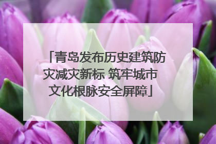 青岛发布历史建筑防灾减灾新标 筑牢城市文化根脉安全屏障