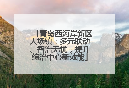 青岛西海岸新区大场镇：多元联动、智治无忧，提升综治中心新效能