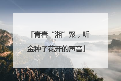 青春“湘”聚，听金种子花开的声音