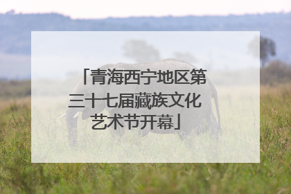 青海西宁地区第三十七届藏族文化艺术节开幕