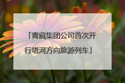 青藏集团公司首次开行塔河方向旅游列车