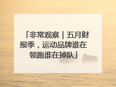 非常观察｜五月财报季，运动品牌谁在领跑谁在掉队