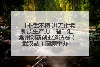 非武不栖 进无止境 新质生产力“智”汇常州创新创业邀请赛（武汉站）圆满举办
