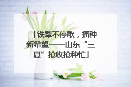 铁犁不停歇，播种新希望——山东“三夏”抢收抢种忙