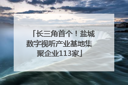 长三角首个！盐城数字视听产业基地集聚企业113家