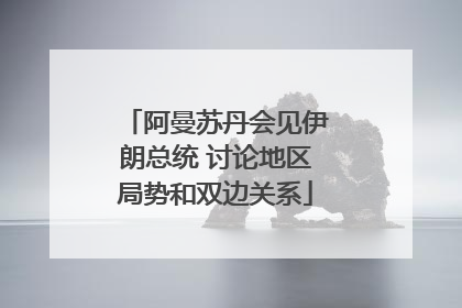 阿曼苏丹会见伊朗总统 讨论地区局势和双边关系