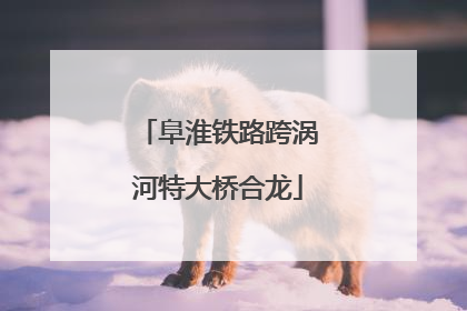 阜淮铁路跨涡河特大桥合龙