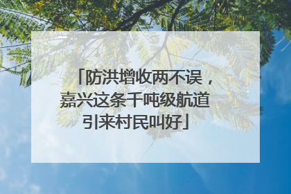 防洪增收两不误，嘉兴这条千吨级航道引来村民叫好