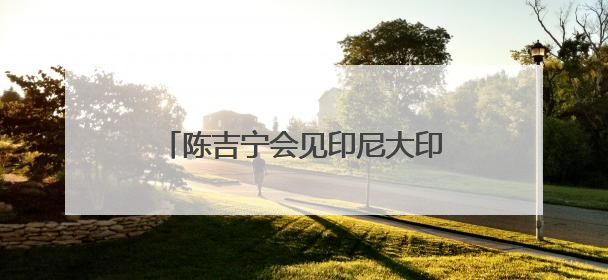 陈吉宁会见印尼大印尼行动党秘书长、人民协商会议主席穆扎尼