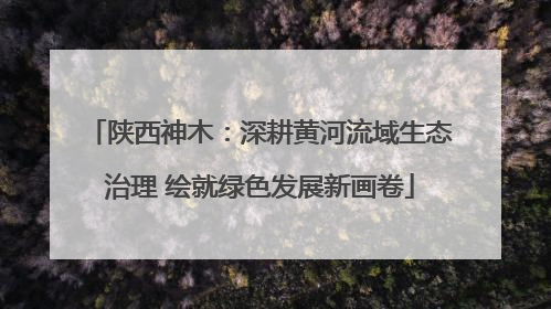 陕西神木：深耕黄河流域生态治理 绘就绿色发展新画卷
