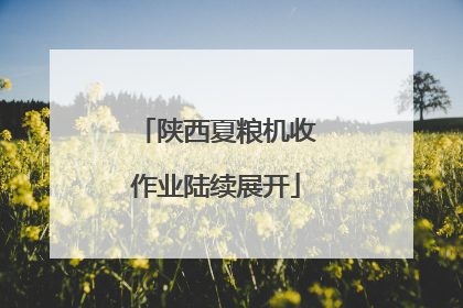 陕西夏粮机收作业陆续展开