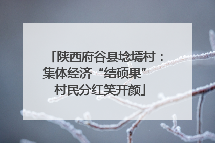 陕西府谷县埝墕村：集体经济“结硕果” 村民分红笑开颜