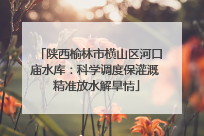 陕西榆林市横山区河口庙水库：科学调度保灌溉 精准放水解旱情