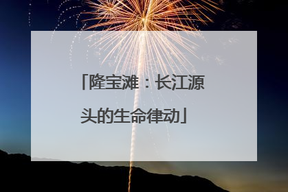 隆宝滩：长江源头的生命律动