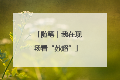 随笔｜我在现场看“苏超”
