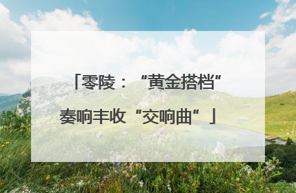 零陵：“黄金搭档”奏响丰收“交响曲”