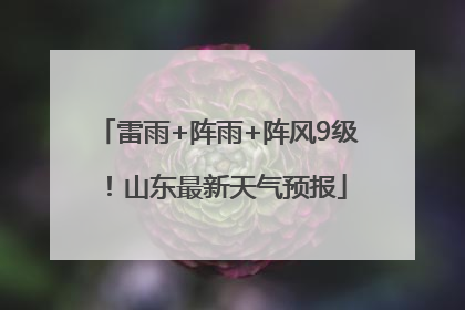 雷雨+阵雨+阵风9级！山东最新天气预报