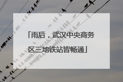 雨后，武汉中央商务区三地铁站皆畅通