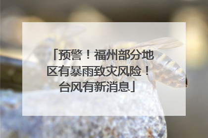 预警！福州部分地区有暴雨致灾风险！台风有新消息