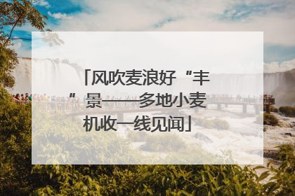 风吹麦浪好“丰”景——多地小麦机收一线见闻