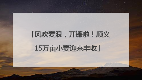 风吹麦浪，开镰啦！顺义15万亩小麦迎来丰收
