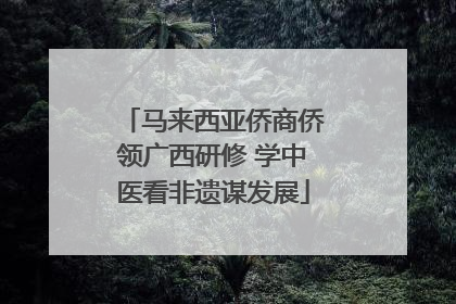 马来西亚侨商侨领广西研修 学中医看非遗谋发展