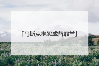 马斯克抱怨成替罪羊