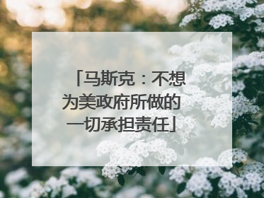马斯克：不想为美政府所做的一切承担责任