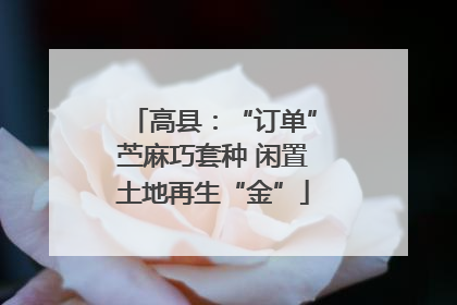 高县：“订单”苎麻巧套种 闲置土地再生“金”
