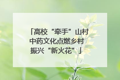 高校“牵手”山村 中药文化点燃乡村振兴“新火花”