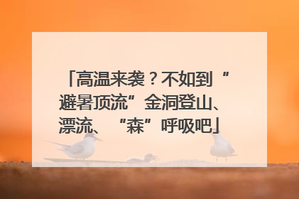 高温来袭？不如到“避暑顶流”金洞登山、漂流、“森”呼吸吧