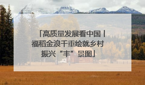 高质量发展看中国丨福稻金浪千重绘就乡村振兴“丰”景图