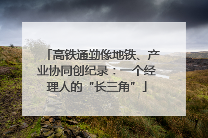 高铁通勤像地铁、产业协同创纪录：一个经理人的“长三角”