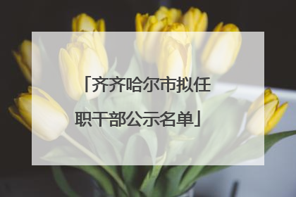 齐齐哈尔市拟任职干部公示名单