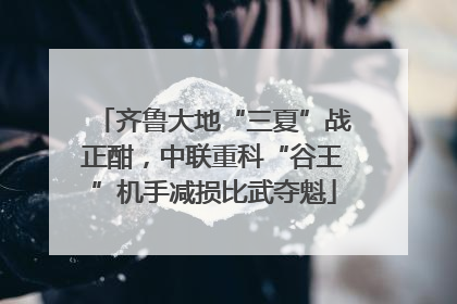 齐鲁大地“三夏”战正酣，中联重科“谷王”机手减损比武夺魁
