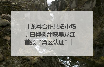 龙粤合作共拓市场，白桦树汁获黑龙江首张“湾区认证”