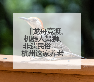 龙舟竞渡、机器人舞狮、非遗民俗……杭州这家养老院玩转“最潮端午”