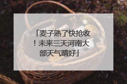 麦子熟了快抢收！未来三天河南大部天气晴好