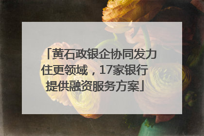 黄石政银企协同发力住更领域，17家银行提供融资服务方案