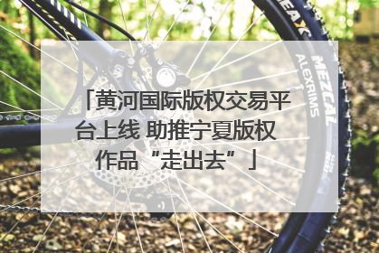 黄河国际版权交易平台上线 助推宁夏版权作品“走出去”