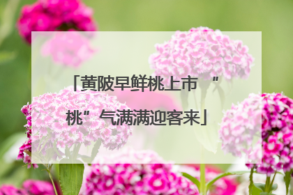 黄陂早鲜桃上市 “桃”气满满迎客来