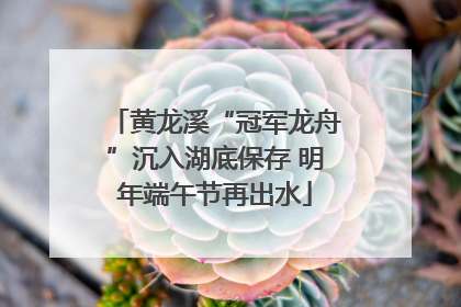 黄龙溪“冠军龙舟”沉入湖底保存 明年端午节再出水