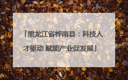 黑龙江省桦南县：科技人才驱动 赋能产业促发展