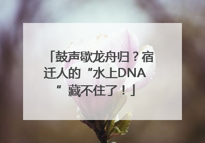 鼓声歇龙舟归？宿迁人的“水上DNA”藏不住了！