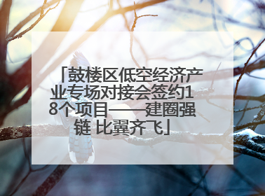 鼓楼区低空经济产业专场对接会签约18个项目——建圈强链 比翼齐飞