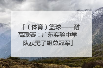 （体育）篮球——耐高联赛：广东实验中学队获男子组总冠军