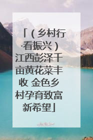 （乡村行·看振兴）江西彭泽千亩黄花菜丰收 金色乡村孕育致富新希望