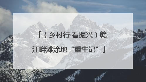 （乡村行·看振兴）赣江畔滩涂地“重生记”