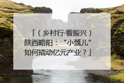 （乡村行·看振兴）陕西略阳：“小瓢儿”如何撬动亿元产业？